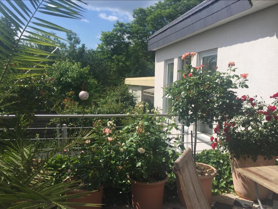 Bei Annemarie Apartment Trier Luaran gambar